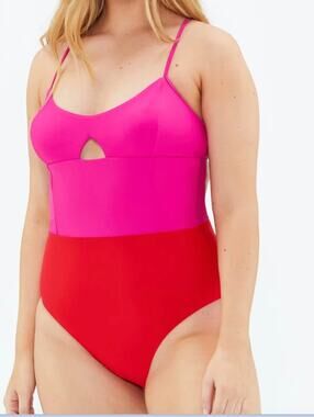 Summersalt The Swan Dive Cutout Colorblock One Piece Swimsuit Pink Red 10